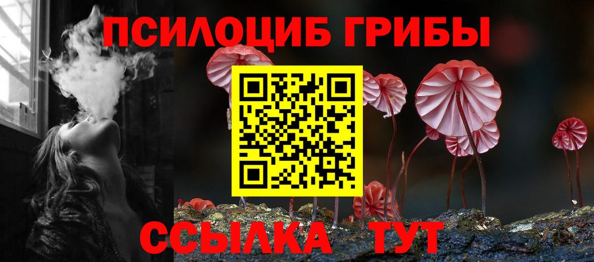 Галлюциногенные грибы мухоморы  Псилоцибиновые грибы мицелий  Вход с VPN  Гатчина 
